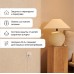 AQARA Умная настенная розетка, модель WP-P01D